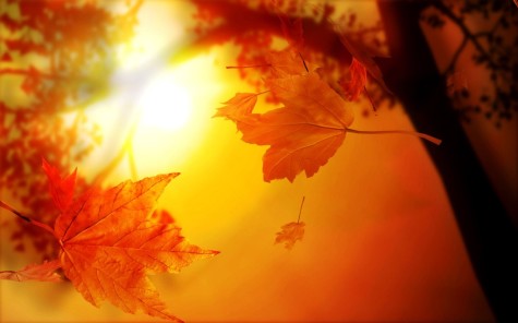 Fall events