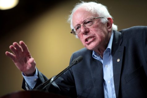 Feeling the Bern?
