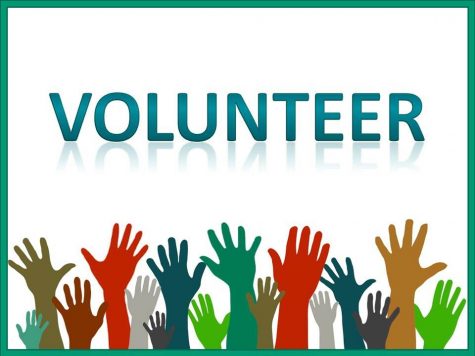 Summer volunteer work
