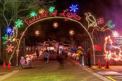 Cosley Zoo’s spectacular light show