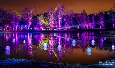 Morton Arboretum Illumination light show