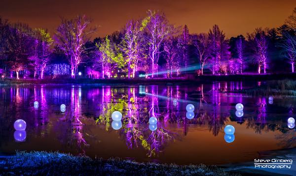 Morton Arboretum Illumination light show