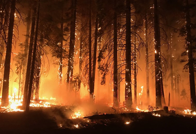 California+camp-wildfire