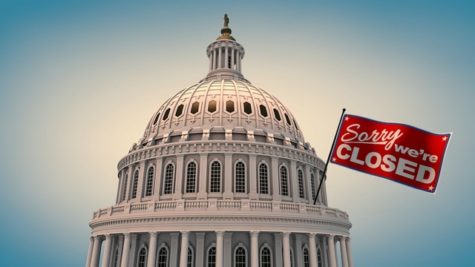 Government shutdown