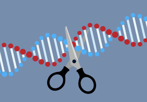 CRISPR: The real-life ‘Resurrection Stone’?