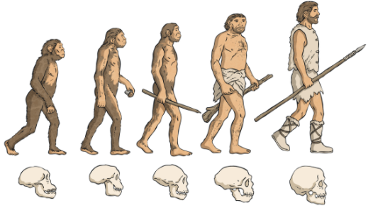 Is Evolution Still a Taboo Subject?
