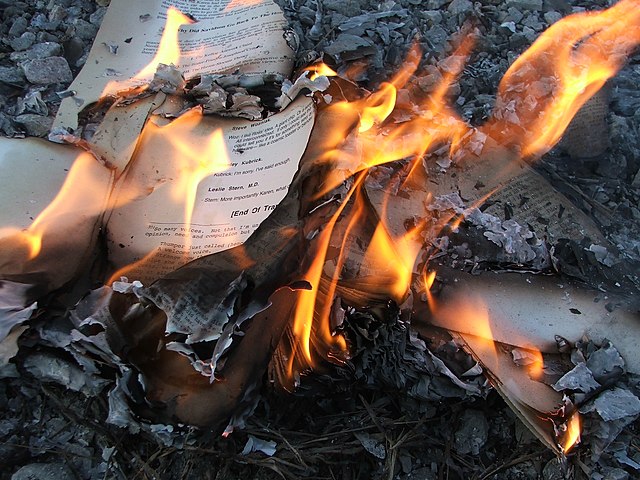 Caption: “The book The House of Leaves being burned” Credit: Wikimedia Commons https://creativecommons.org/licenses/by/2.0/