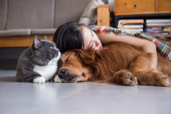 Many pet owners would attest to the mental benefits of being around animals. Source: One Green Planet